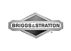 Briggs & Stratton