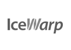 IceWrap
